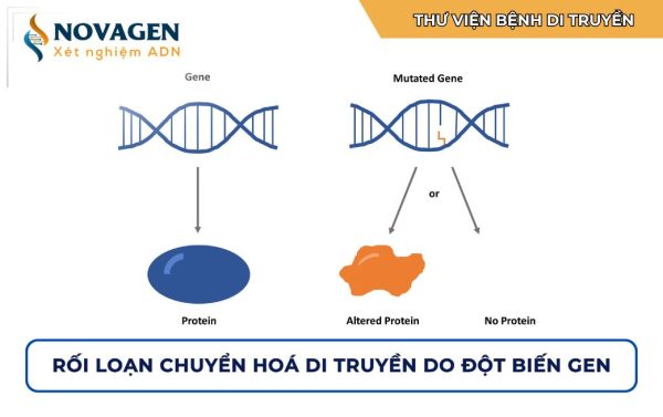 rối loạn chuyển hoá di truyền