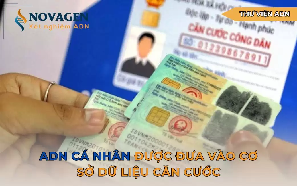 ADN cá nhân được đưa vào cơ sở dữ liệu căn cước ADN cá nhân được đưa vào cơ sở dữ liệu căn cước