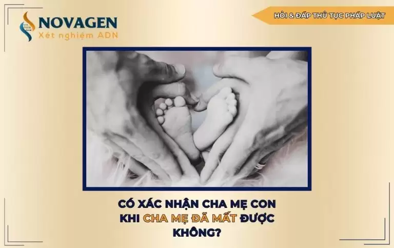 Có xác nhận cha mẹ con khi cha mẹ đã mất được không?