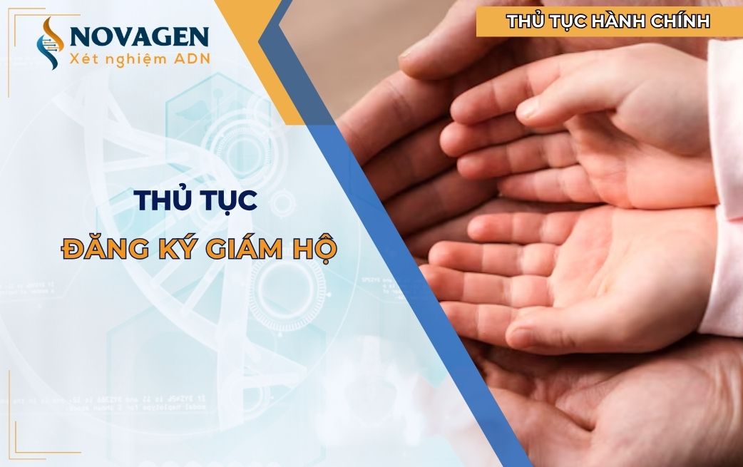 Thủ tục đăng ký giám hộ được thực hiện như thế nào?