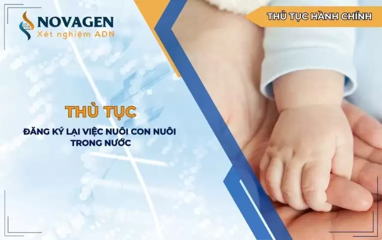 Đăng ký lại việc nuôi con nuôi trong nước: Hướng dẫn mới nhất