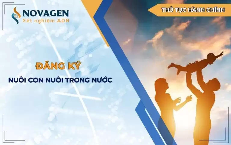 Đăng ký nuôi con nuôi trong nước: Hướng dẫn từ A – Z
