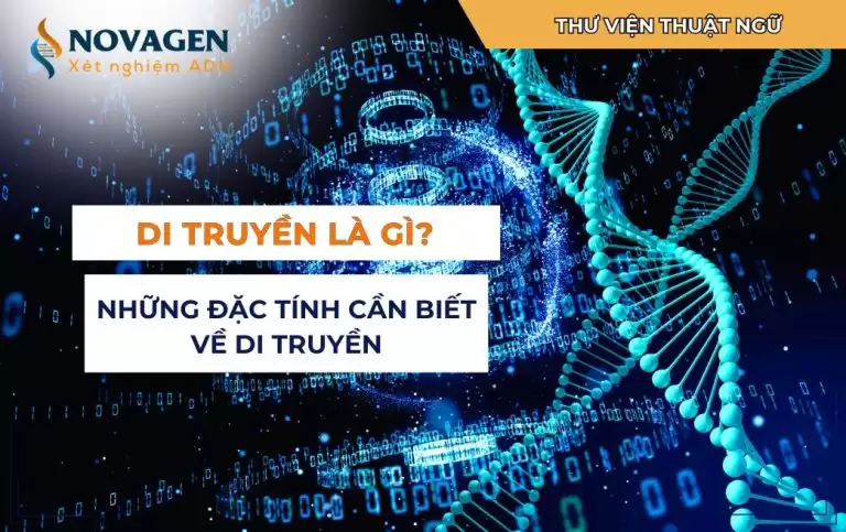 Di truyền là gì? Những đặc tính cần biết về di truyền