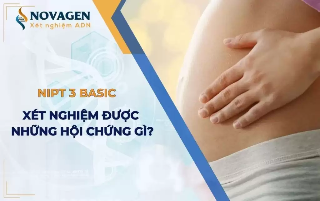 Gói xét nghiệm NIPT 3 Basic sàng lọc được những hội chứng nào?