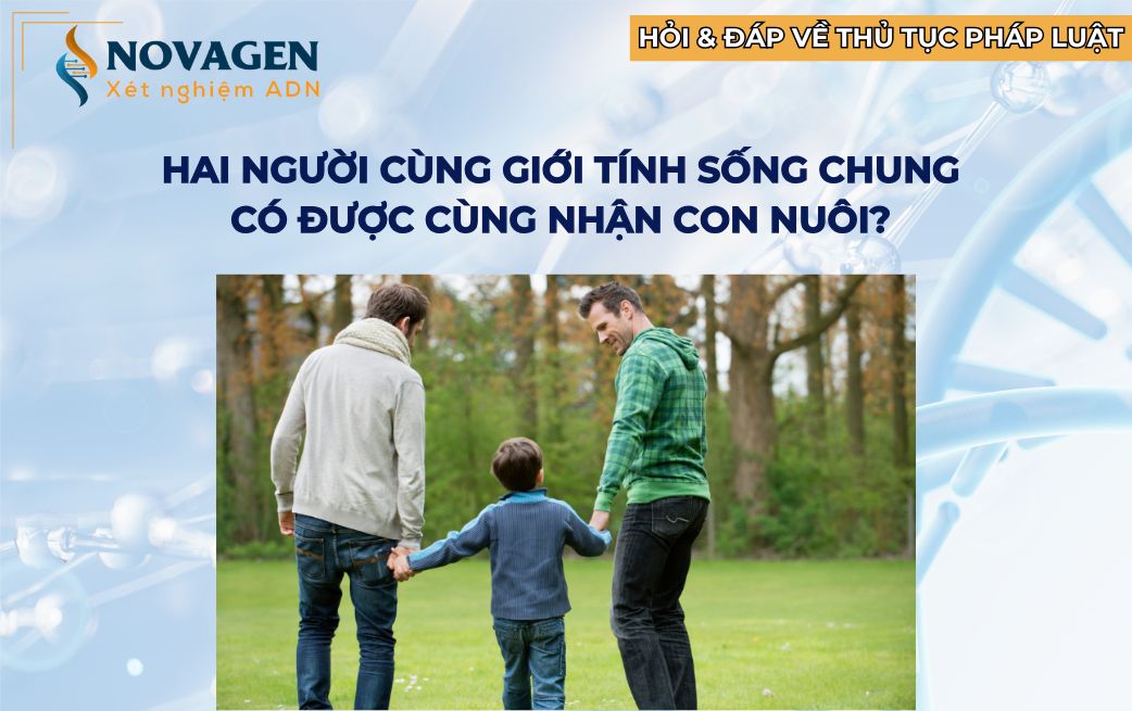 Hai người cùng giới tính sống chung có được cùng nhận con nuôi? 