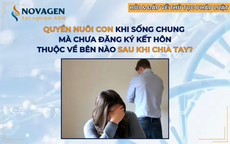 Phân chia quyền nuôi con khi chưa đăng ký kết hôn mà sống chung như vợ chồng