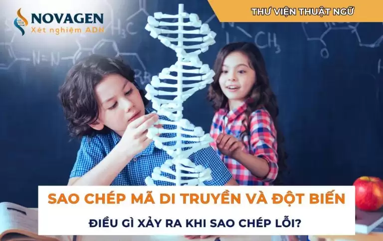 Sao chép mã di truyền và đột biến: Điều gì xảy ra khi sao chép lỗi?