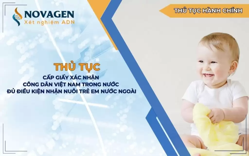 Thủ tục cấp giấy xác nhận công dân Việt Nam ở trong nước đủ điều kiện nhận trẻ em nước ngoài làm con nuôi