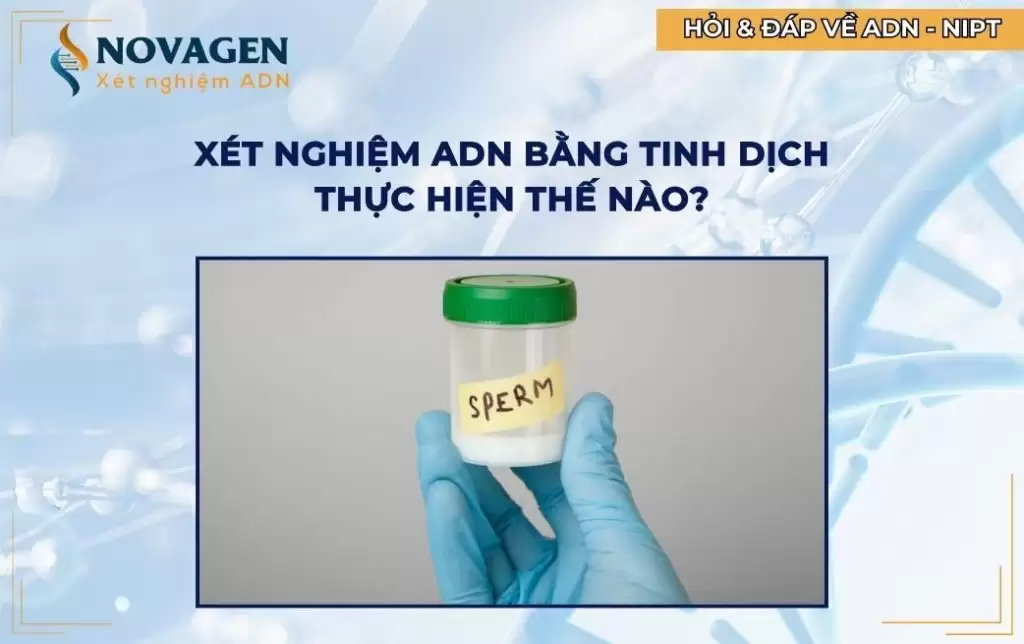 Xét nghiệm ADN bằng tinh dịch là gì? Thực hiện như thế nào? 
