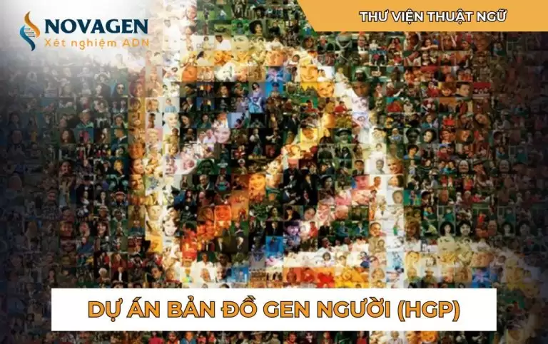 Bản đồ gen người: Khám phá bí ẩn của di truyền và đặc điểm sinh học cơ thể người