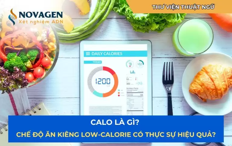 Calo là gì? Chế độ ăn kiêng low-calorie có thực sự hiệu quả?