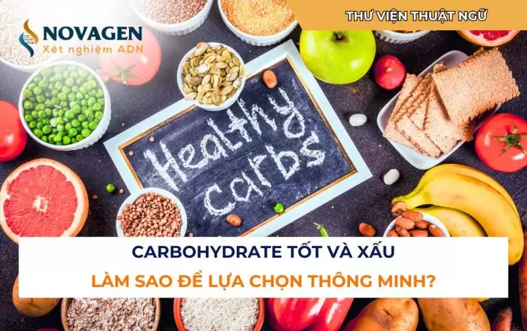 Carbohydrate tốt và xấu: Làm sao để lựa chọn thông minh?