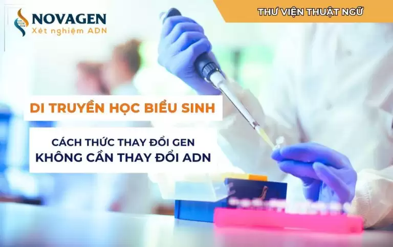Di truyền học biểu sinh: Cách thức thay đổi gen không cần thay đổi ADN 