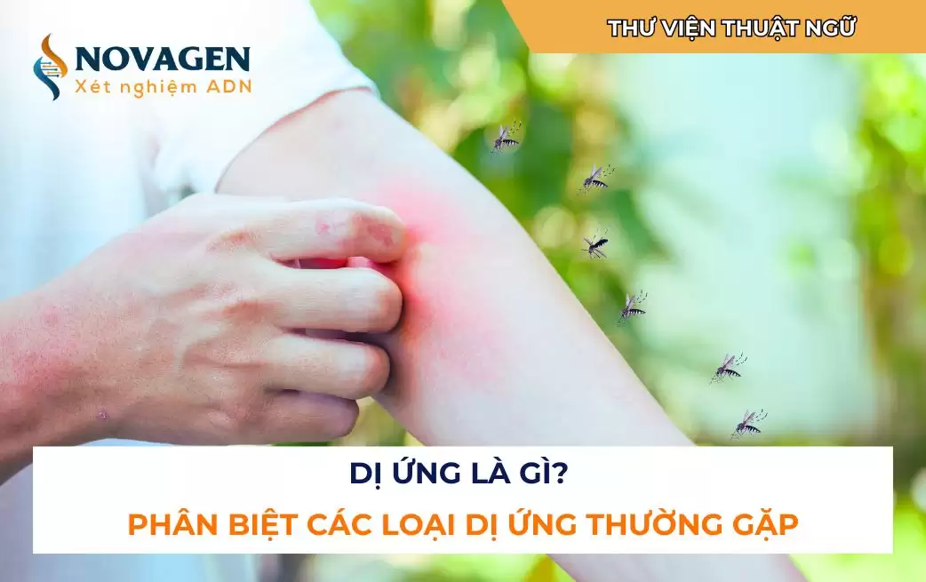 Dị ứng là gì