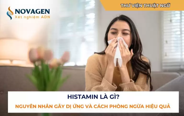 Histamin là gì? Nguyên nhân gây dị ứng và cách phòng ngừa hiệu quả 