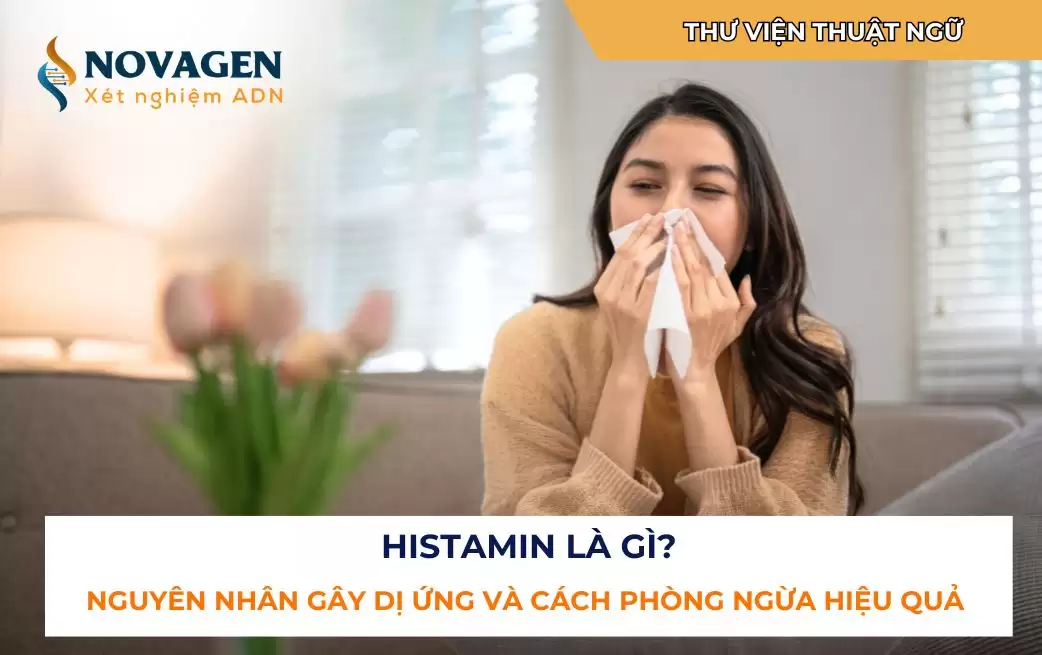 Histamin là gì