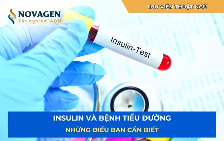 Insulin và bệnh tiểu đường – Những điều bạn cần biết