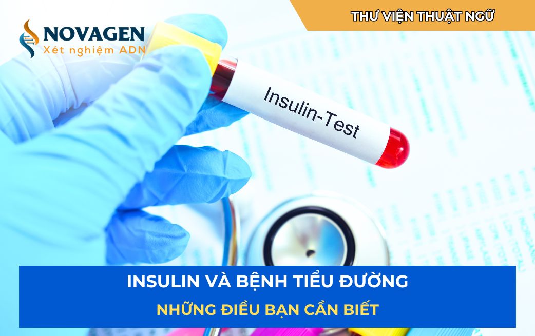 Insulin-va-benh-tieu-duong