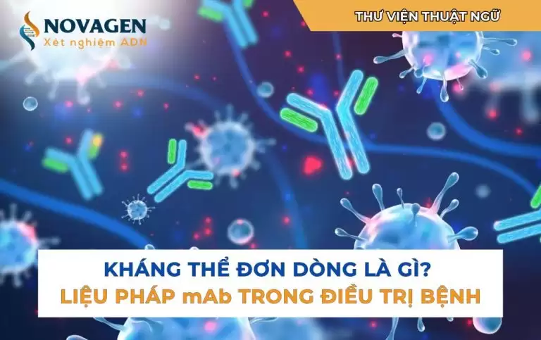 Kháng thể đơn dòng là gì? Liệu pháp mAb trong điều trị bệnh