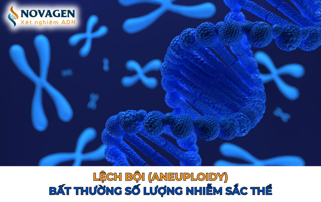 Lệch bội (Aneuploidy) - Bất thường số lượng nhiễm sắc thể