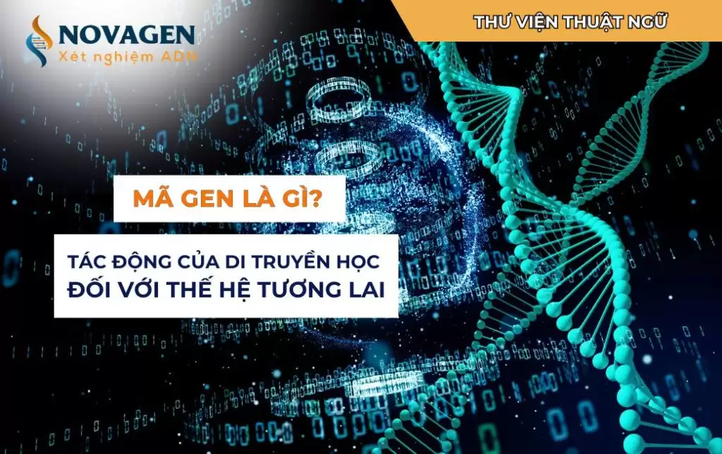 Mã gen là gì? Tác động của di truyền học đối với thế hệ tương lai 