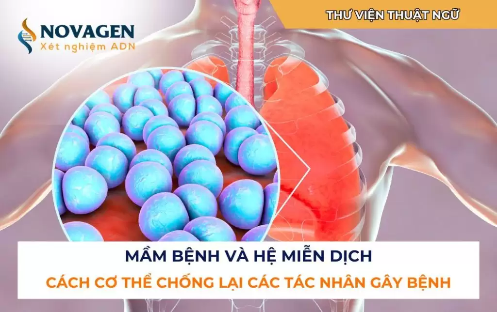 Mầm bệnh và hệ miễn dịch: Cách cơ thể chống lại các tác nhân gây bệnh