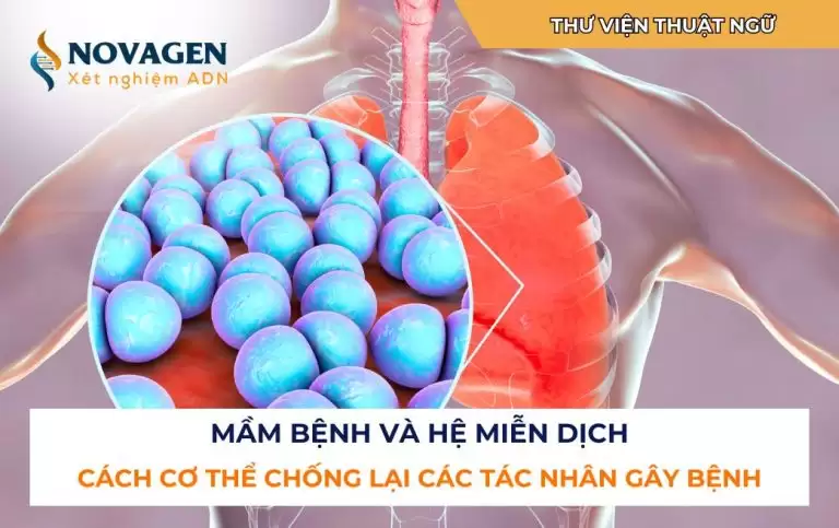 Mầm bệnh và hệ miễn dịch: Cách cơ thể chống lại các tác nhân gây bệnh