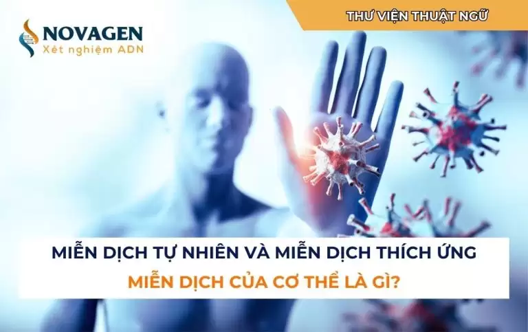 Miễn dịch tự nhiên và miễn dịch thích ứng: Miễn dịch của cơ thể là gì?