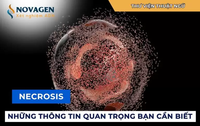 Hoại tử (Necrosis) – Những thông tin quan trọng bạn cần biết