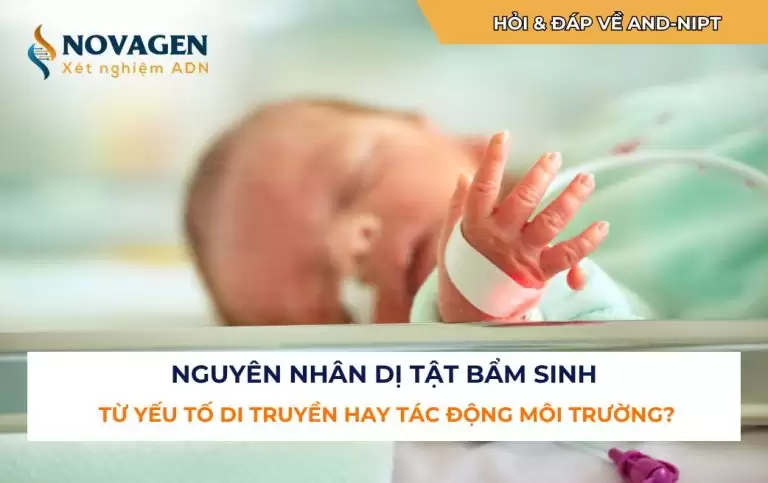Nguyên nhân dị tật bẩm sinh: Từ yếu tố di truyền hay tác động môi trường?