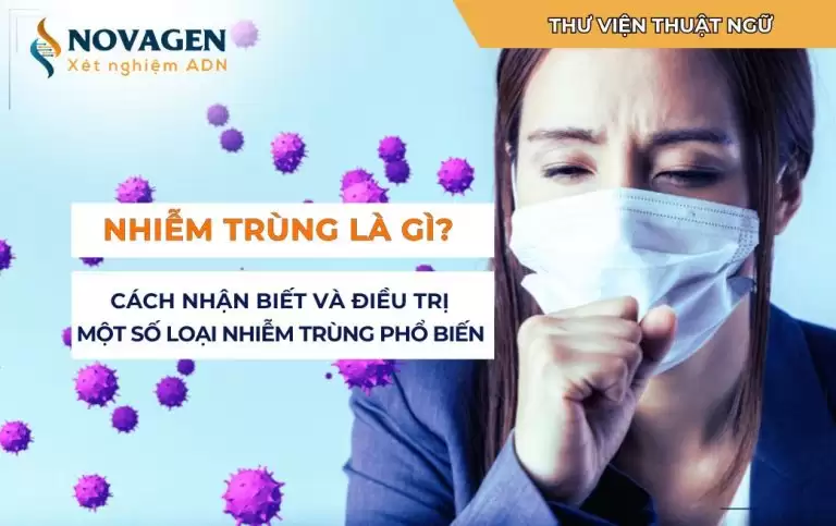 Nhiễm trùng là gì? Cách nhận biết và điều trị một số loại nhiễm trùng phổ biến