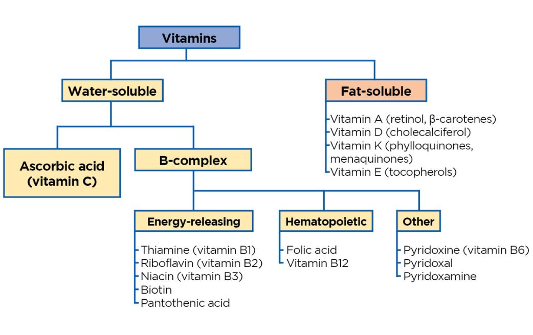 Phân loại vitamin