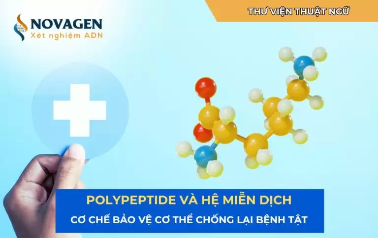 Polypeptide và hệ miễn dịch: Cơ chế bảo vệ cơ thể chống lại bệnh tật