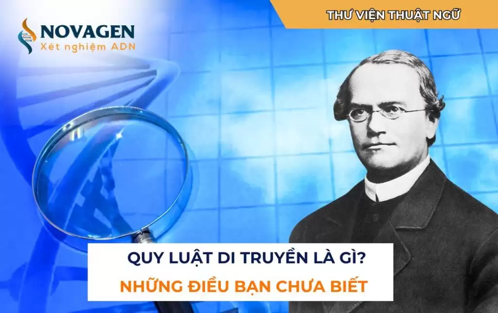 Quy luật di truyền là gì? Những điều bạn chưa biết