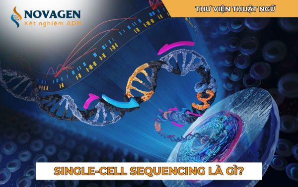 Single-cell sequencing là gì?