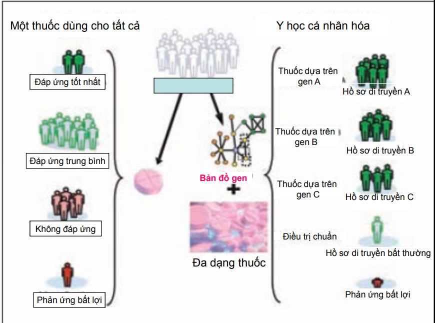 Thuốc dùng trong y học cá nhân hóa