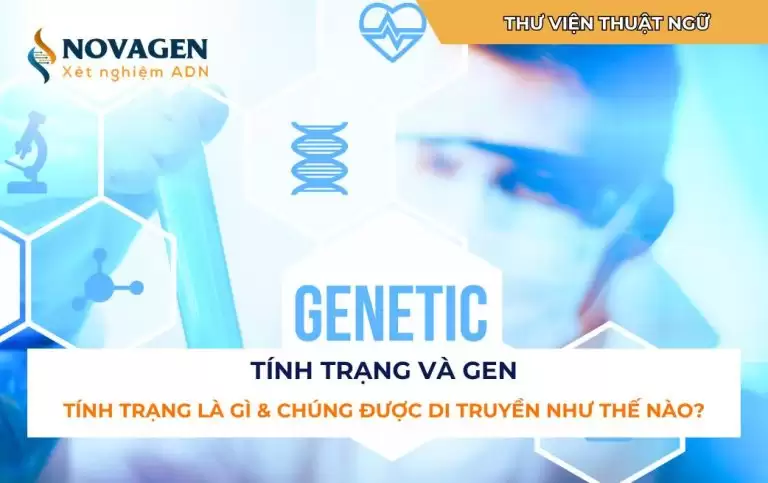 Tính trạng và Gen: Tính trạng là gì và chúng được di truyền như thế nào?