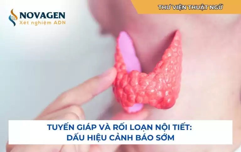 Tuyến giáp và rối loạn nội tiết: Dấu hiệu cảnh báo sớm 