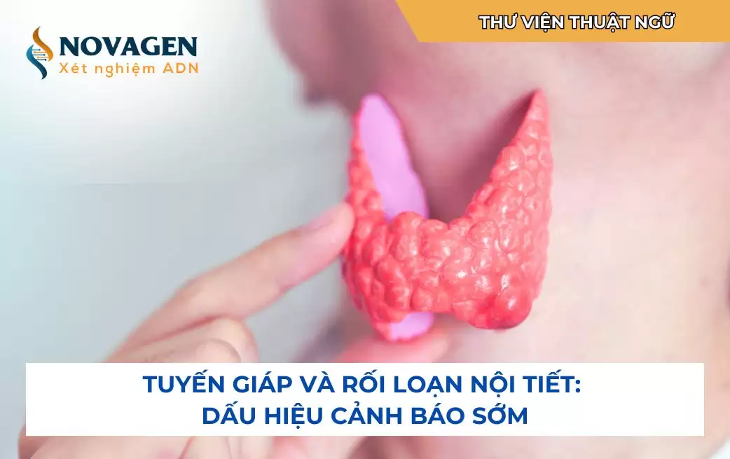Tuyến giáp và rối loạn nội tiết