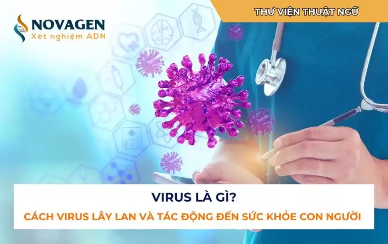 Virus là gì? Cách virus lây lan và tác động đến sức khỏe con người