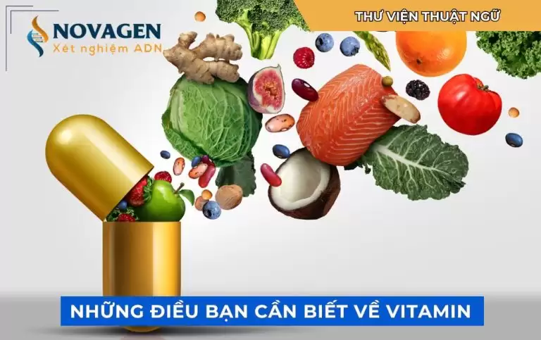 Những điều bạn cần biết về vitamin