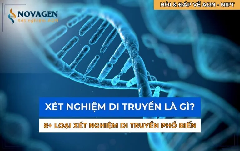 Xét nghiệm di truyền là gì? 8+ loại xét nghiệm di truyền phổ biến nhất