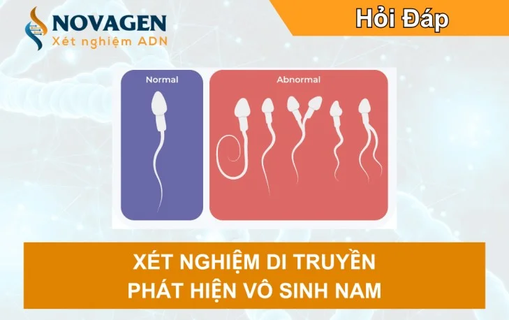 Xét nghiệm di truyền trong vô sinh nam: Giải mã nguyên nhân từ ADN