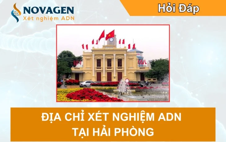 Địa chỉ xét nghiệm ADN tại Hải Phòng