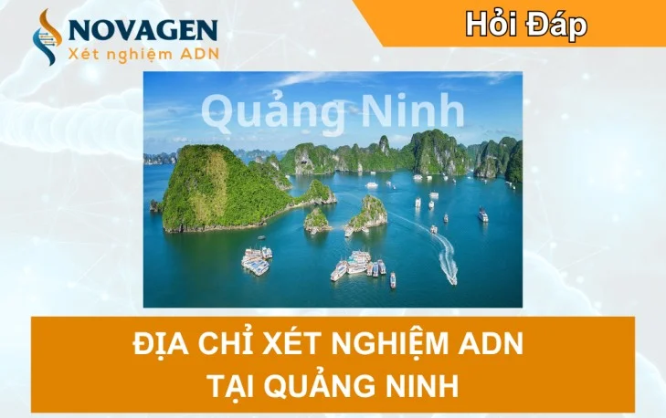 Địa chỉ xét nghiệm ADN tại Quảng Ninh