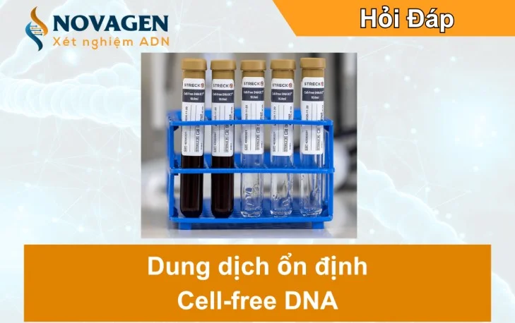 Dung dịch ổn định cell-free DNA: Chìa khóa vàng trong xét nghiệm NIPT và di truyền y học hiện đại