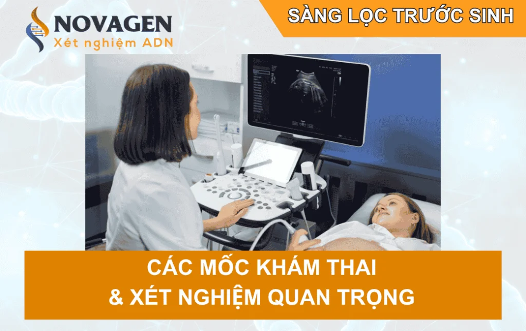 Sàng lọc trước sinh: Toàn bộ các mốc khám và xét nghiệm quan trọng mẹ bầu không thể bỏ lỡ