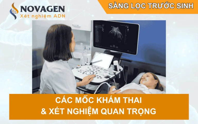 Sàng lọc trước sinh: Toàn bộ các mốc khám và xét nghiệm quan trọng mẹ bầu không thể bỏ lỡ