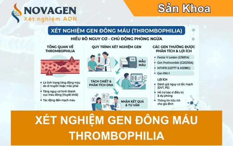 Xét nghiệm gen đông máu (Thrombophilia)