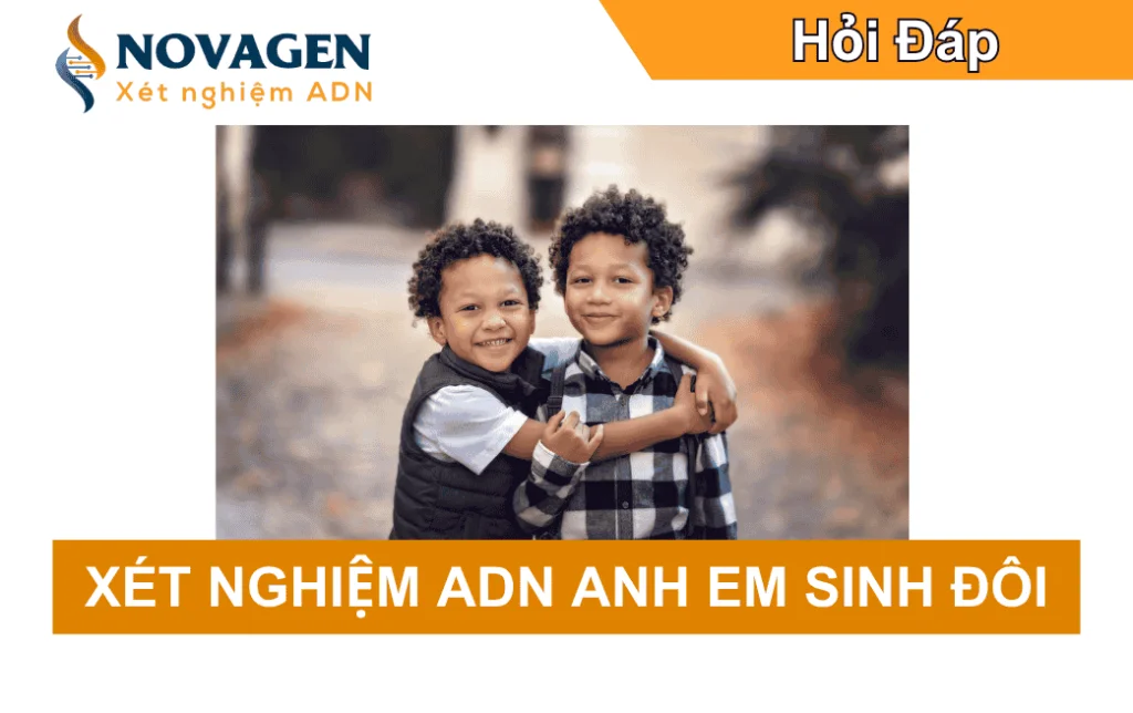 Xét nghiệm ADN hai anh em sinh đôi